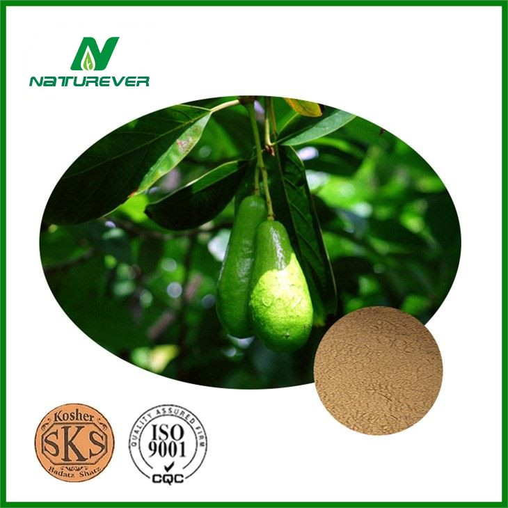 Avacado Extract