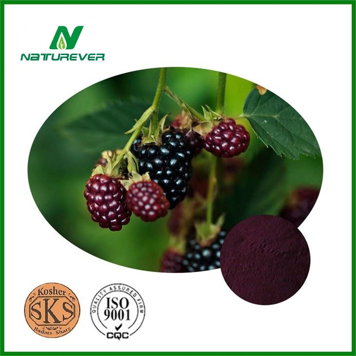 Pure Blackberry Extract