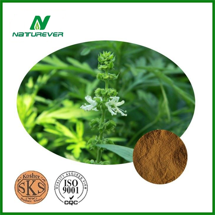 Basil Leaf Supplement