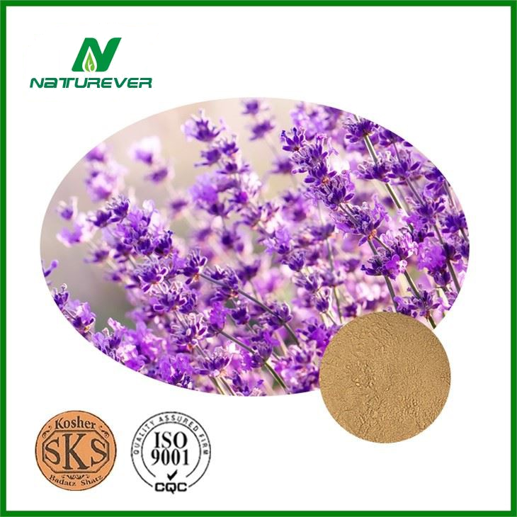 Lavender Extract Supplement
