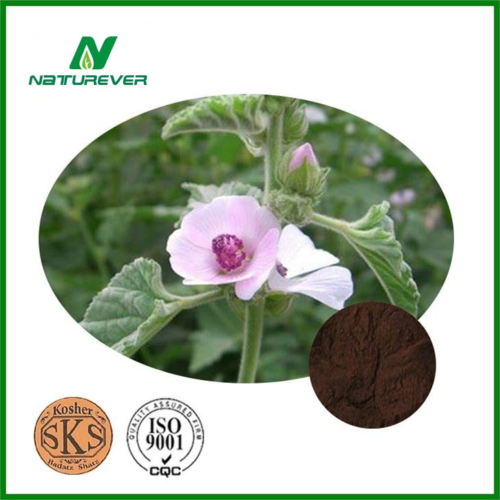 Althaea Officinalis Extract