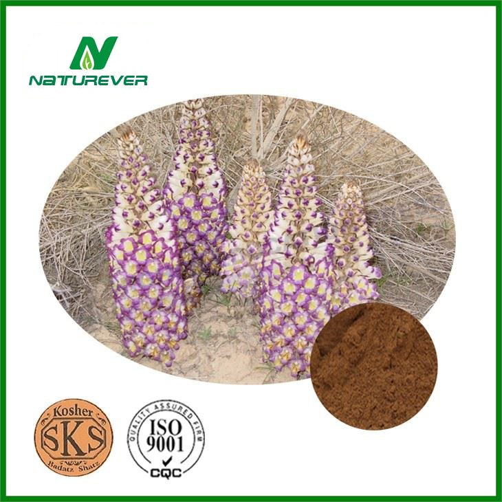Cistanche Tubulosa Extract