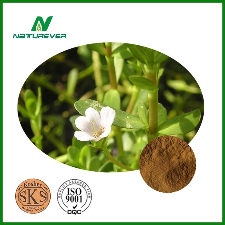 Bacopa Monnieri Leaf Extract