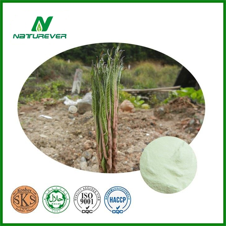Konjac Glucomannan Supplement