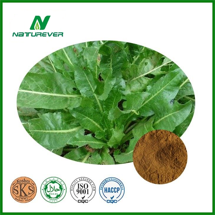 Isatis Root Extract