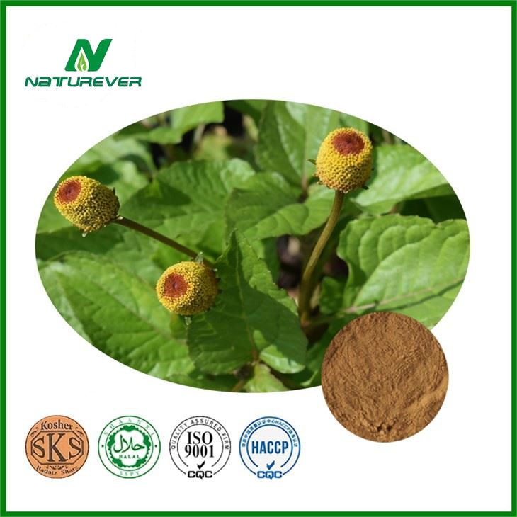 Acmella Extract