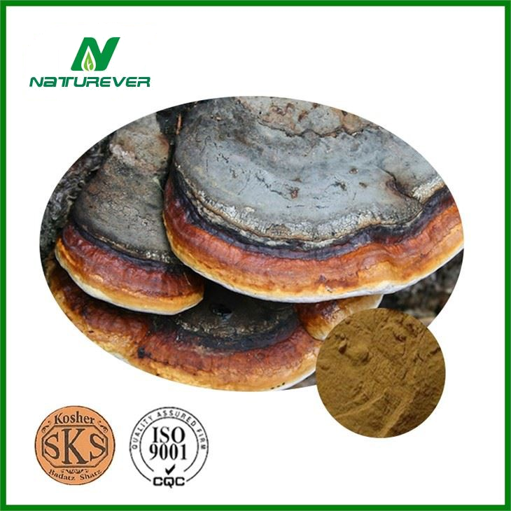 Fomitopsis Pinicola Extract