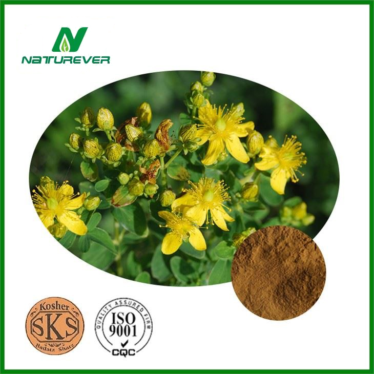Hypericum Perforatum Flower Extract