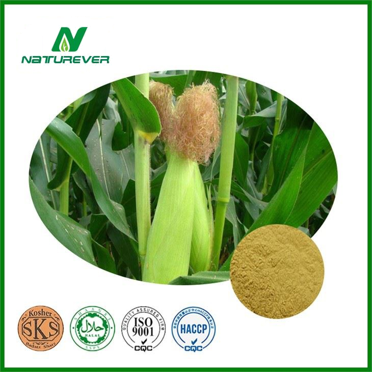 Corn Silk Extract Powder