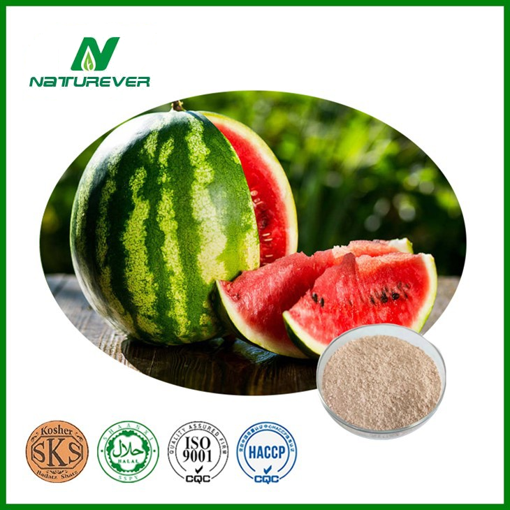Watermelon Powder