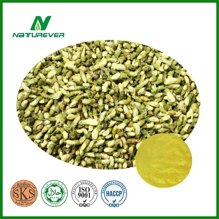 Sophora Flower Bud Extract