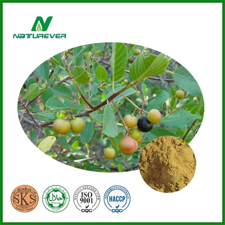 Cascara Sagrada Bark Extract