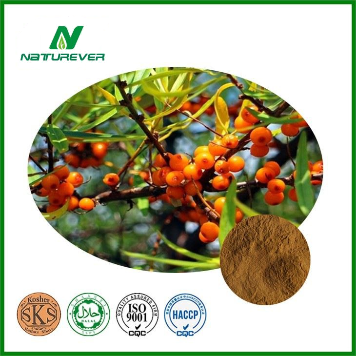 Sea Buckthorn Fruit Extract