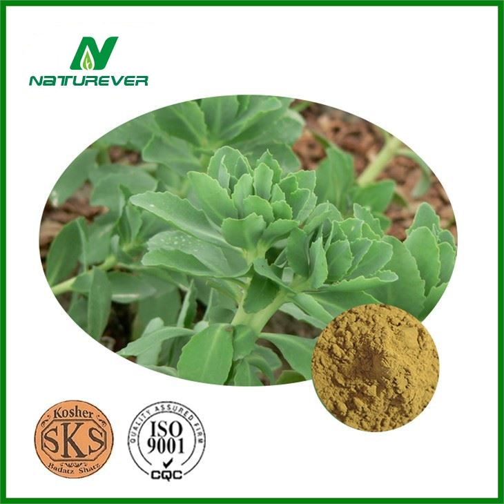 Notoginseng Extract