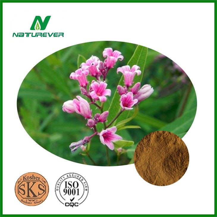 Apocynum Venetum Extract