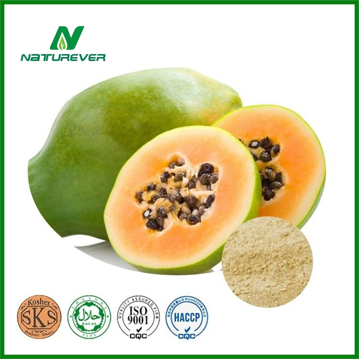 Papaya Extract Powder