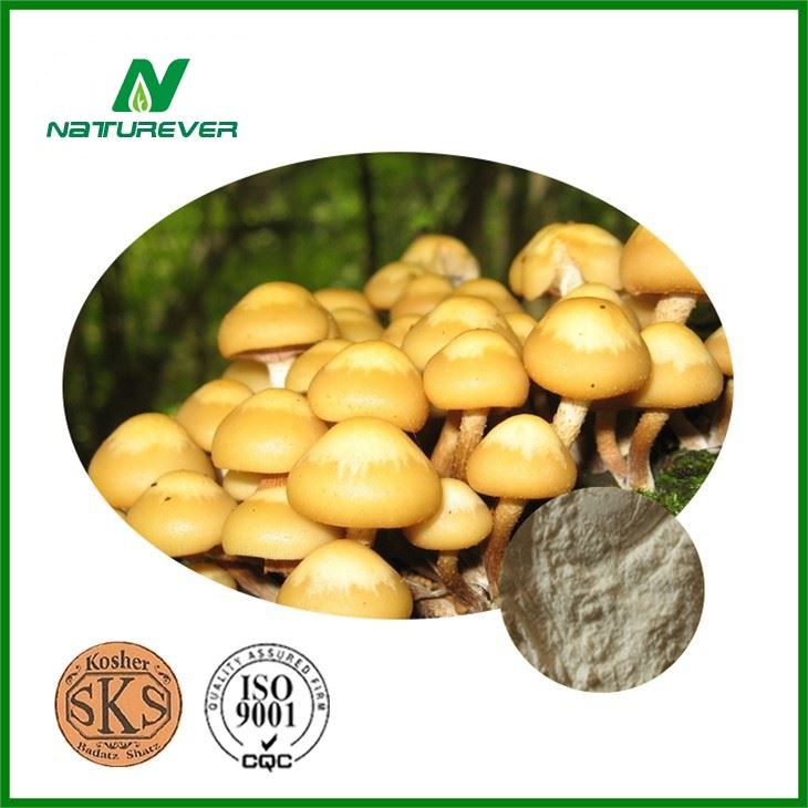 Pholiota Nameko Extract