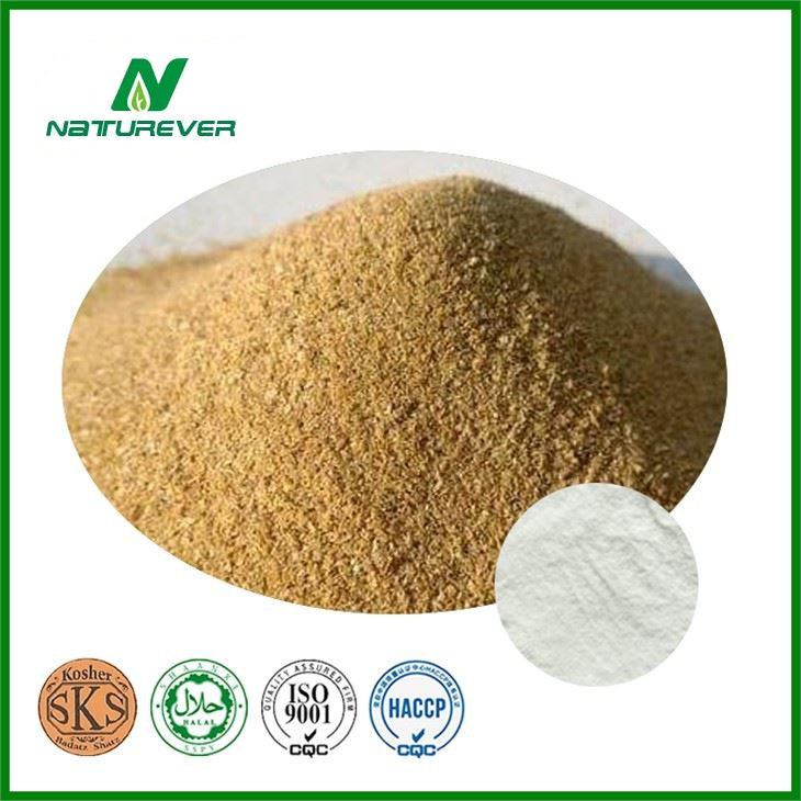 Rice Bran Extract Powder