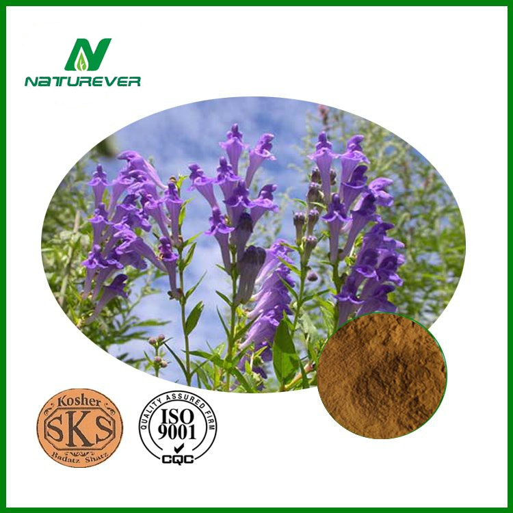 Scutellaria Baicalensis Extract