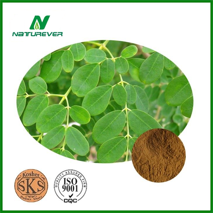 Moringa Leaf Extract Powder