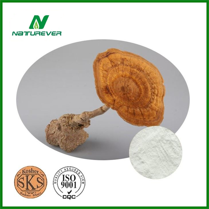 Lignosus Rhinocerus Extract