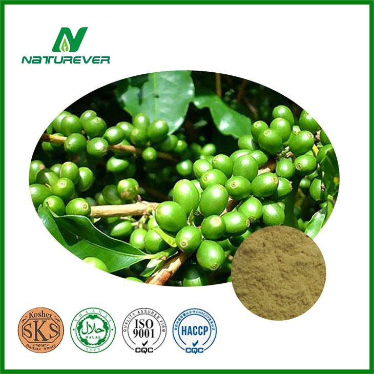 Green Coffee Bean Extract Powder