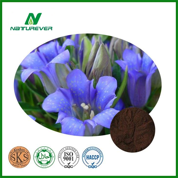 Gentian Root Extract Powder