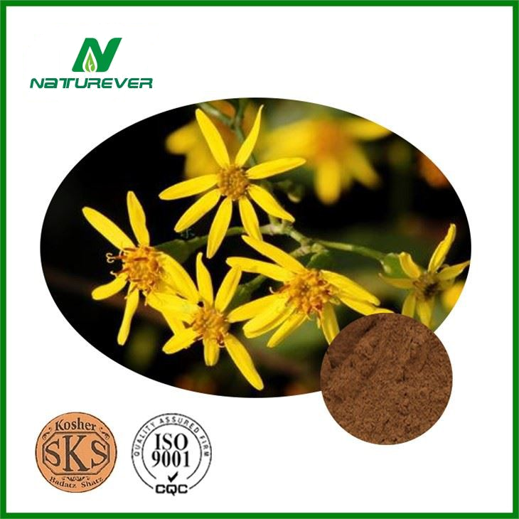 Climbing Goundsel Herb Extract