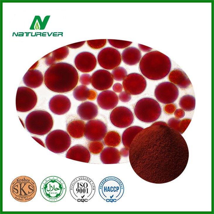 Nature Made Astaxanthin