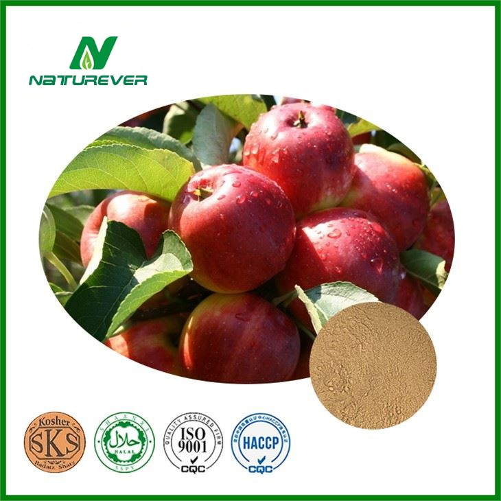 Natural Apple Extract