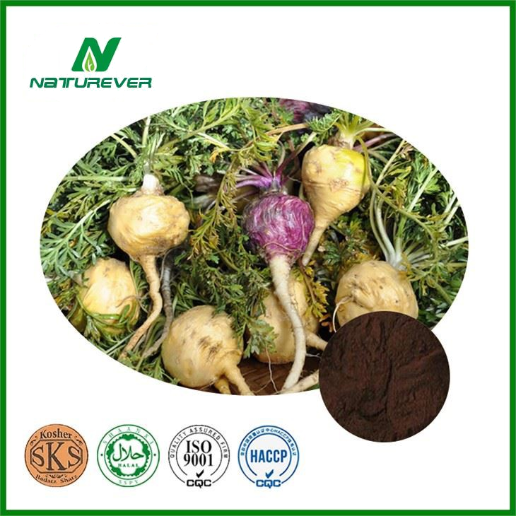 Maca Extract Supplement