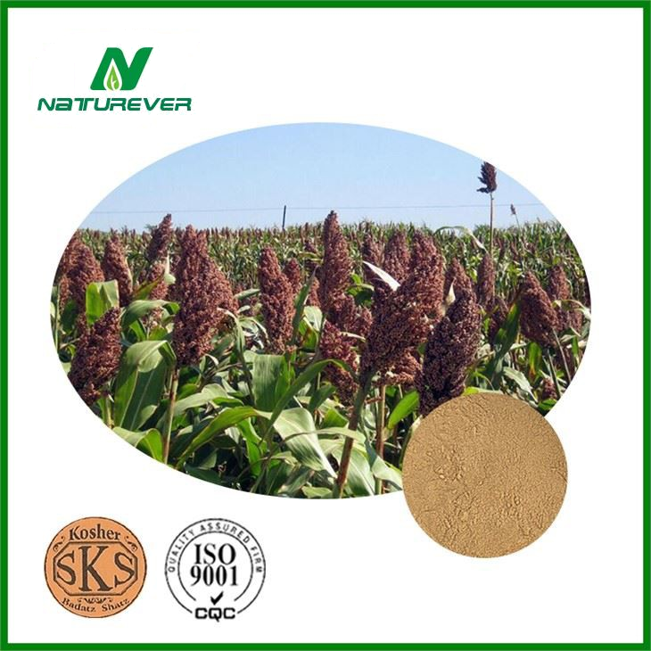 Sorghum Hull Extract