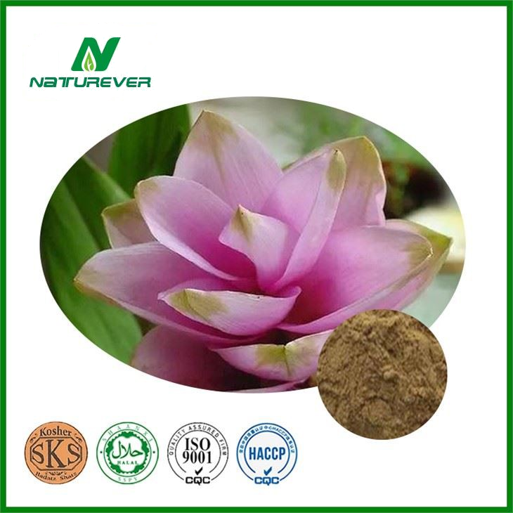 Curcuma Zedoaria Extract