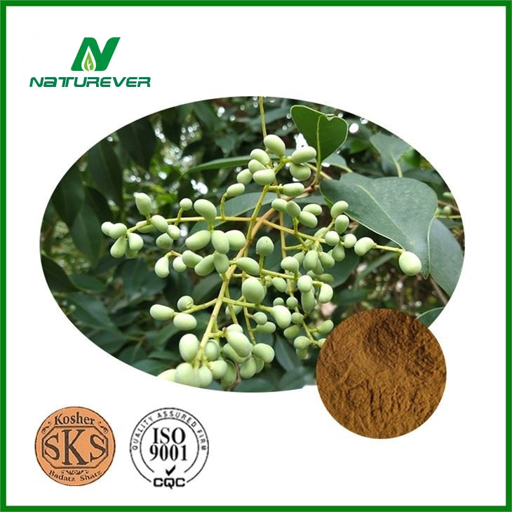 Ligustrum Fruit Extract