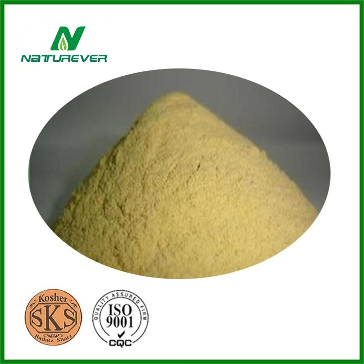Selenium Yeast Powder