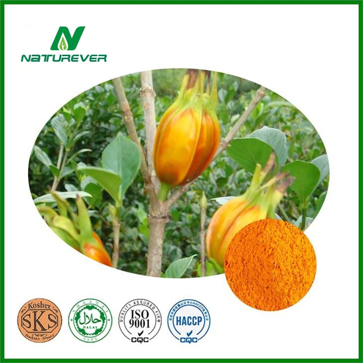 Gardenia Extract Powder