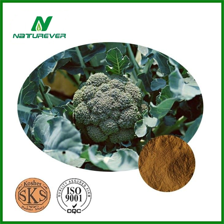 Broccoli Extract Powder