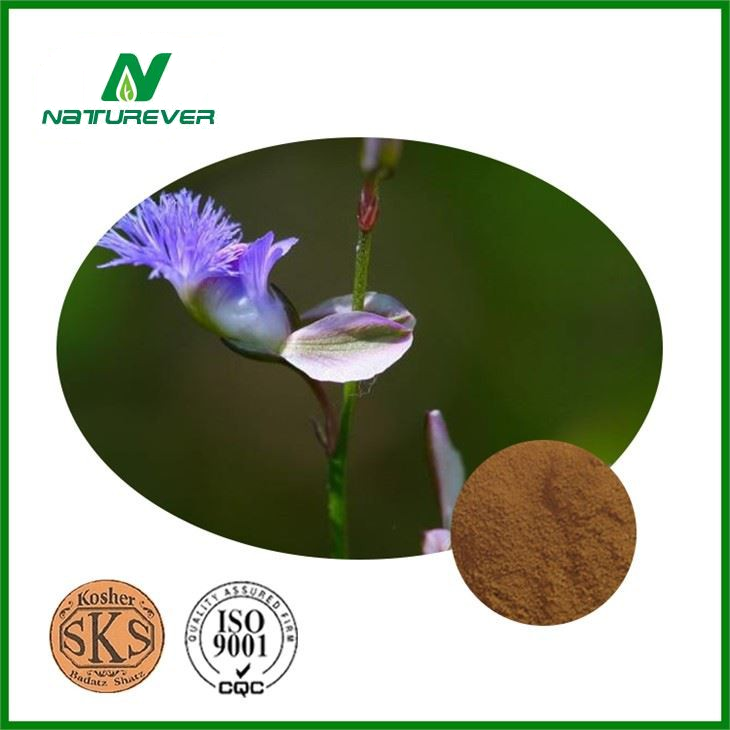 Polygala japonica Extract
