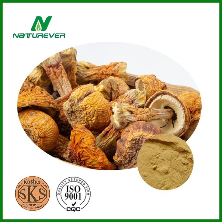 Agaricus Blazei Extract
