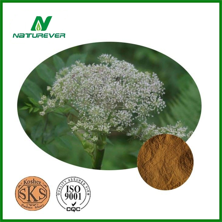 Lovage Extract