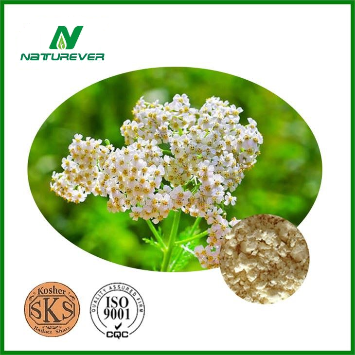 Achillea Millefolium Extract