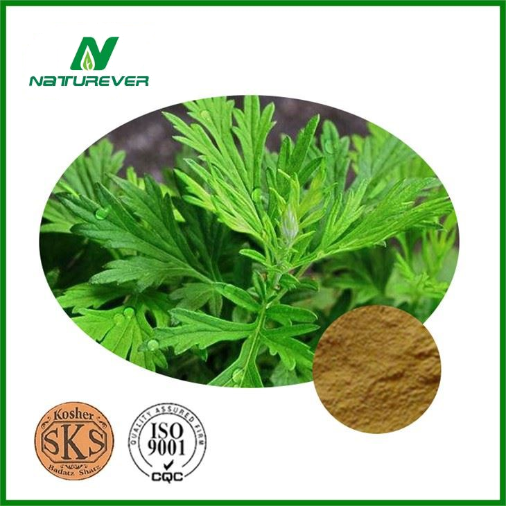 Argyi Leaf Extract