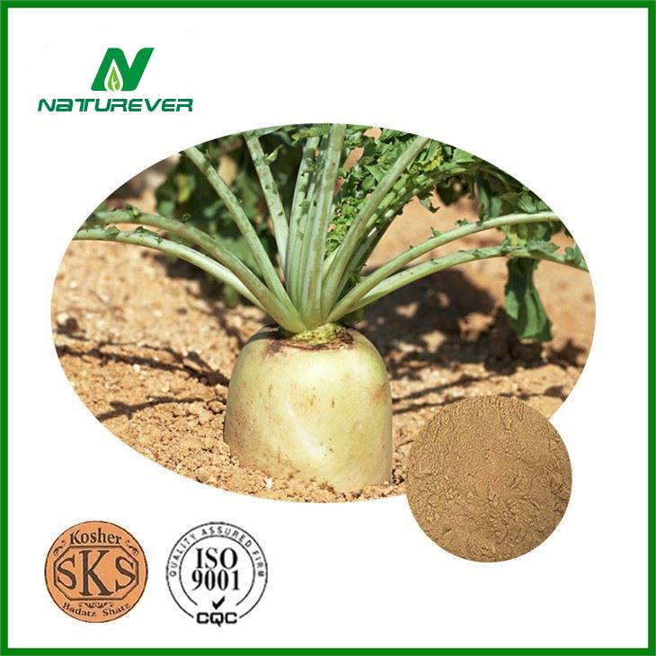Radish Seed Extract