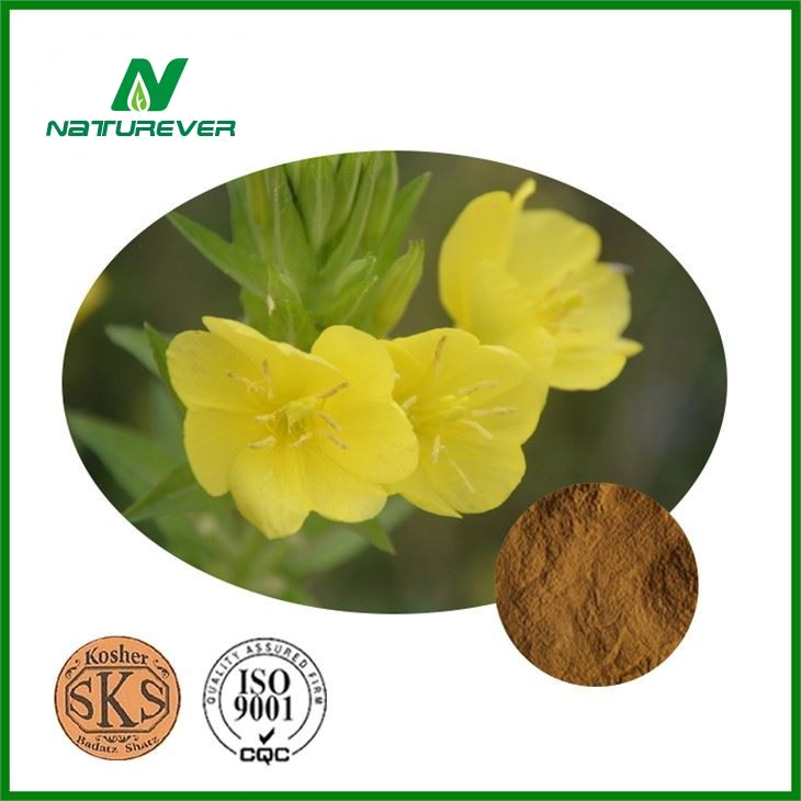 Evening Primrose Oil