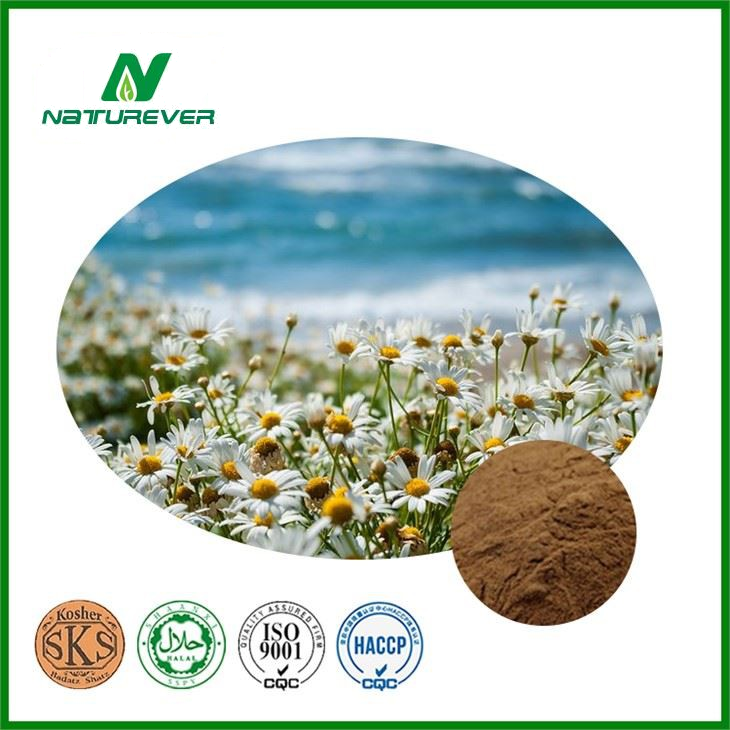 Chamomile Extract Powder