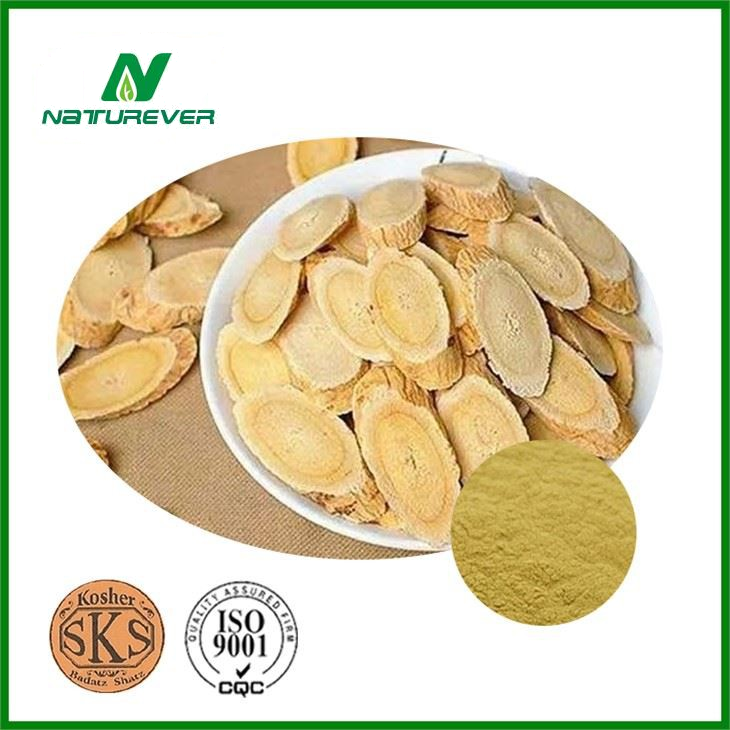 Astragalus Extract Powder