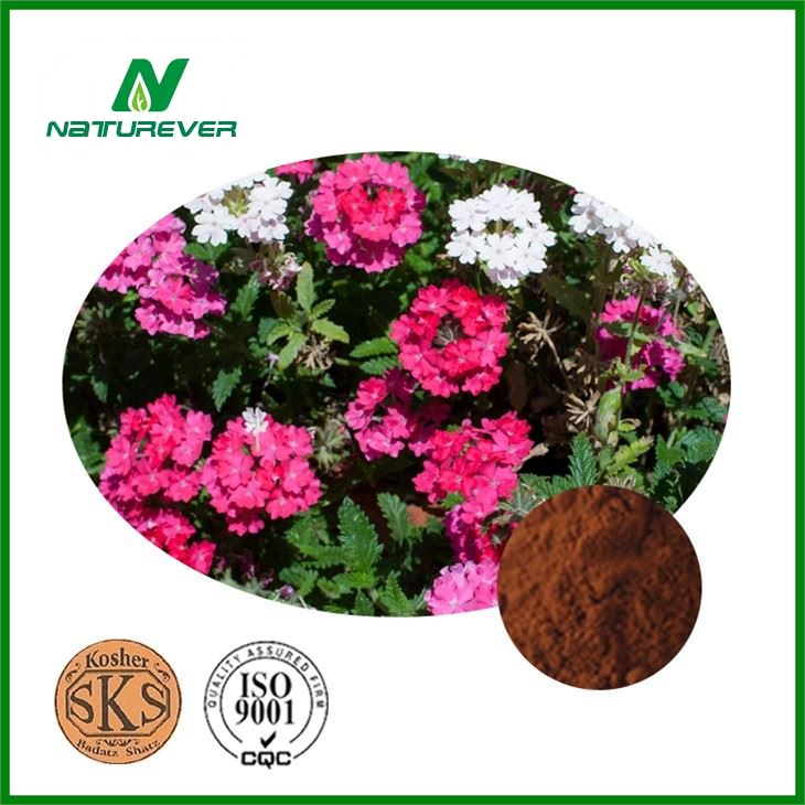 Verbena Extract