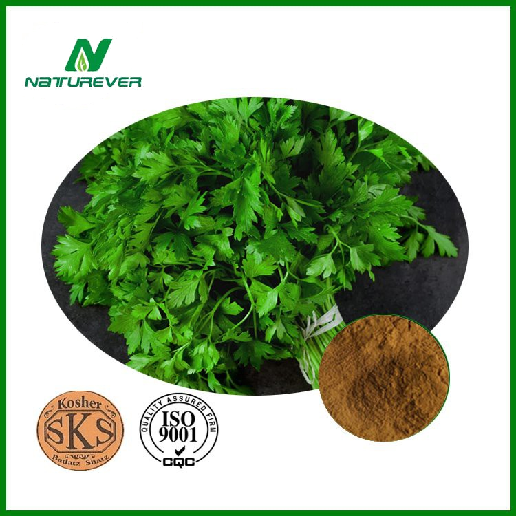 Parsley Extract