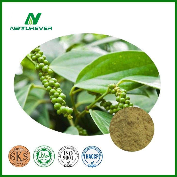 Black Pepper Extract Supplement