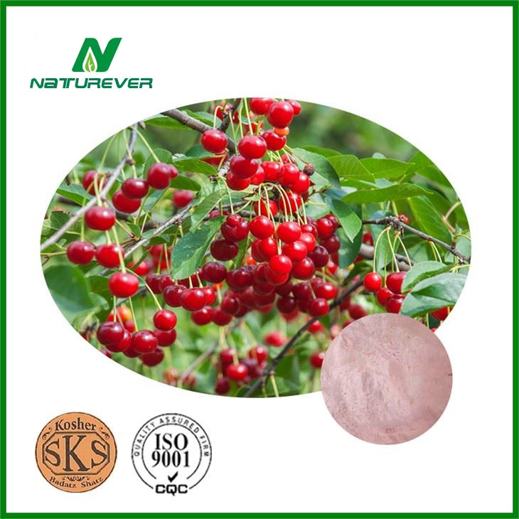 Cherry Extract 10:1